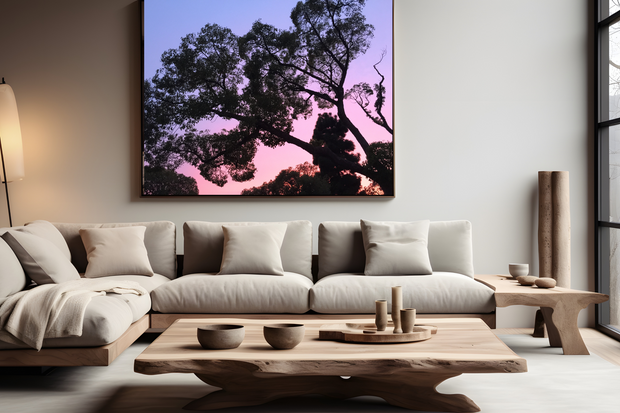 Trees Against the Sunset Art Print