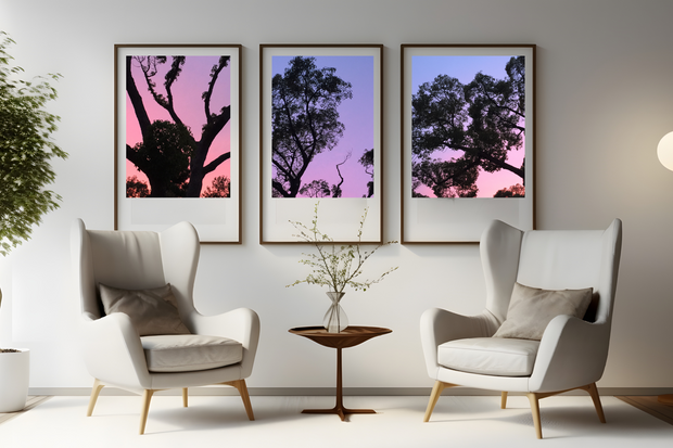 Triptych of Trees against the Sunset