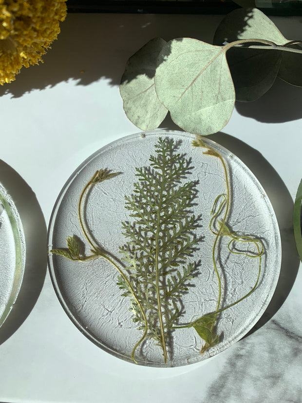 Round Pressed Leaves in Acrylic Coasters