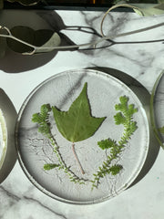 Round Pressed Leaves in Acrylic Coasters