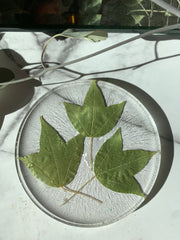 Round Pressed Leaves in Acrylic Coasters