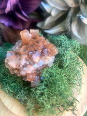 Aragonite Star Cluster