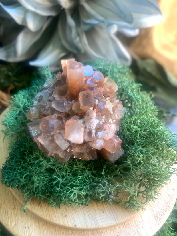 Aragonite Star Cluster