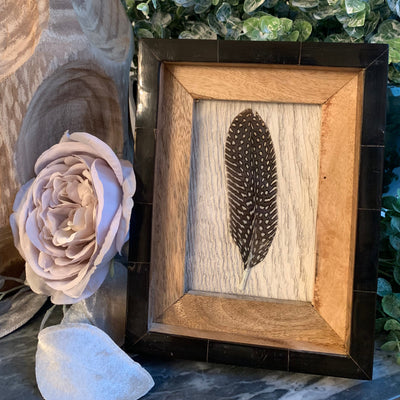 Single Spotted Feather Art