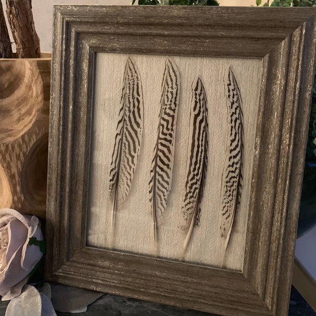 Silver Pheasant Feather Art