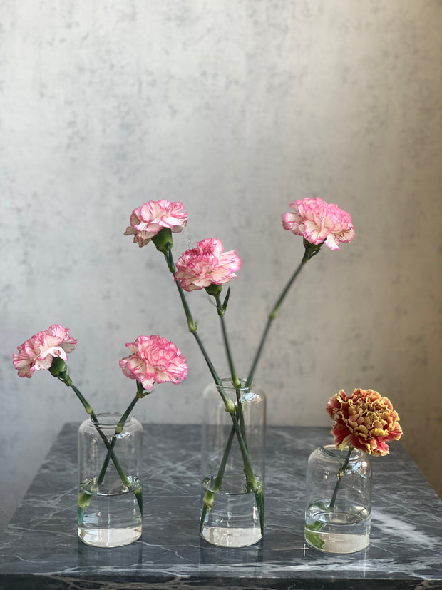 Clear Vase Trio