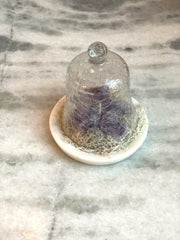 Raw Amethyst Quartz in Petit Cloche