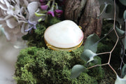 Mother-of-Pearl Shell with Amethyst