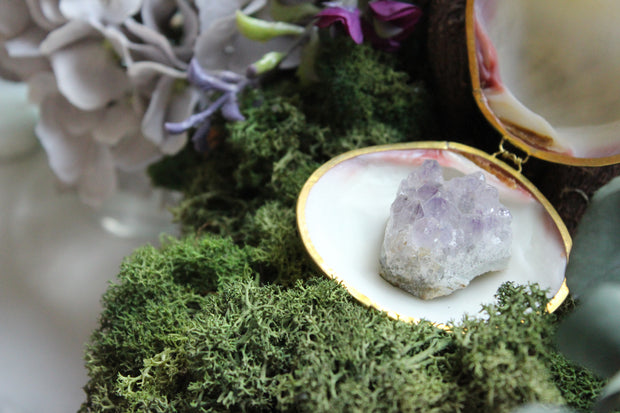 Mother-of-Pearl Shell with Amethyst