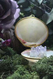 Mother-of-Pearl Shell with Amethyst