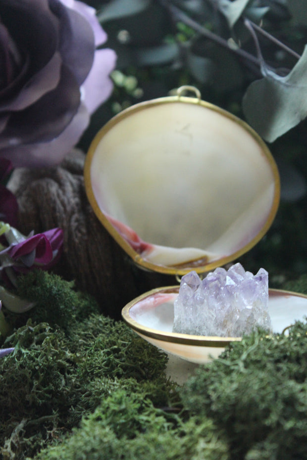 Mother-of-Pearl Shell with Amethyst