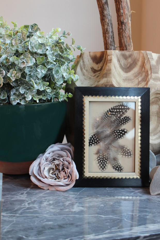 Guinea Spotted Pheasant Feathers